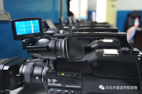 艺术专业哪家强 河外艺术专科批闪光芒