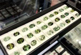 湖南广播电视台国际频道 东方寻宝 栏目 走进新疆阿勒泰 特别节目录制成功