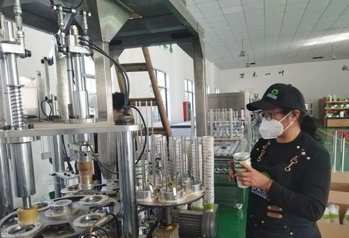 科技赋能茶产业，郎溪推动高质量发展